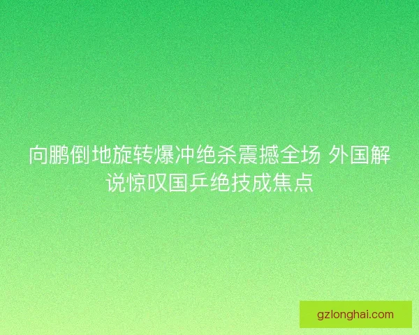 向鹏倒地旋转爆冲绝杀震撼全场 外国解说惊叹国乒绝技成焦点
